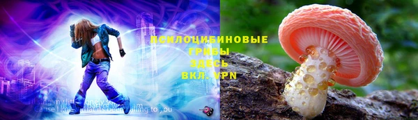 таблы Гусев