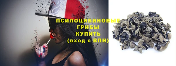 дживик Горнозаводск