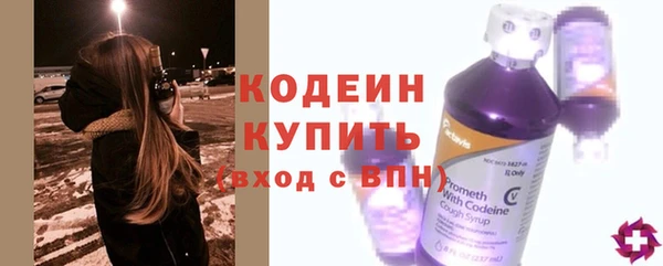 таблы Гусев