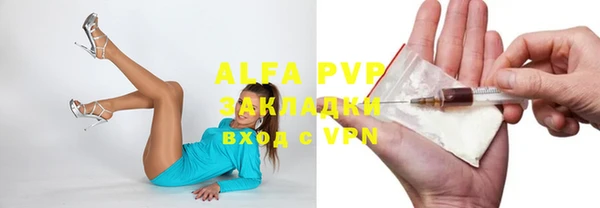 индика Гусиноозёрск