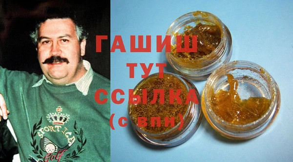индика Гусиноозёрск