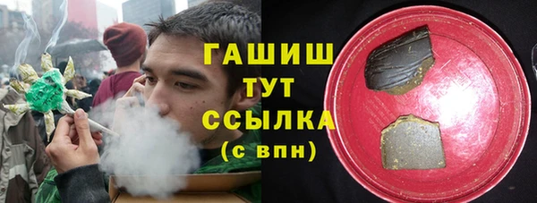 таблы Гусев