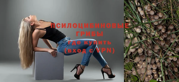 таблы Гусев