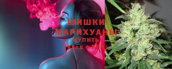 дживик Горнозаводск
